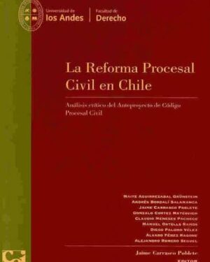 La reforma procesal civil en Chile: análisis crítico del anteproyecto de código procesal civil.
