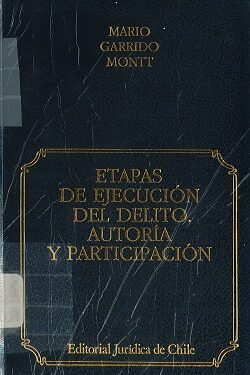 Etapas de ejecución del delito, autoría y participación